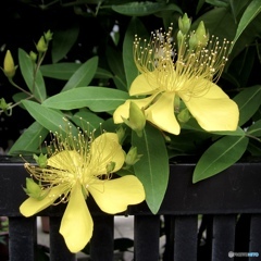 2E13330D-C07D-4240-B844-DA72B0C23AEE