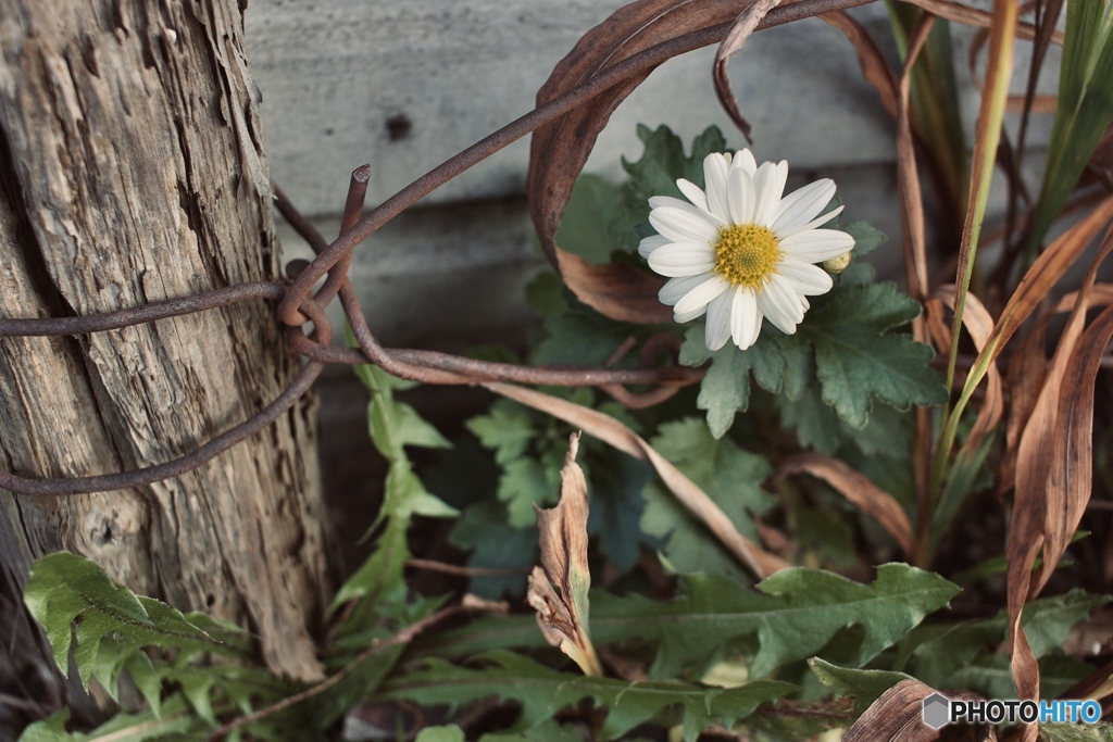 F993C1FC-9CDB-4E26-B7C4-49025907A494