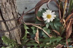 F993C1FC-9CDB-4E26-B7C4-49025907A494