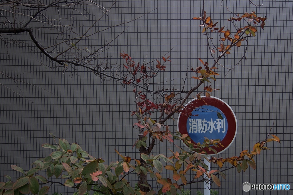 0CC926A1-B30E-499F-807C-8A0721C3D465