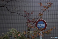 0CC926A1-B30E-499F-807C-8A0721C3D465