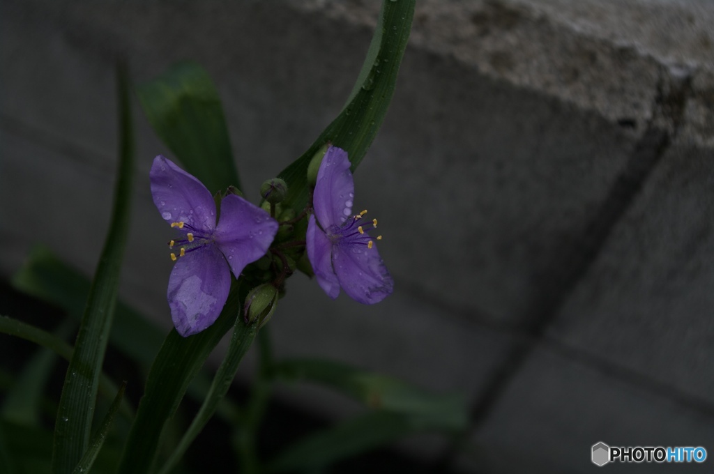 7A87EC69-A565-440C-80D4-FF6F410CCF74