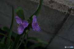 7A87EC69-A565-440C-80D4-FF6F410CCF74