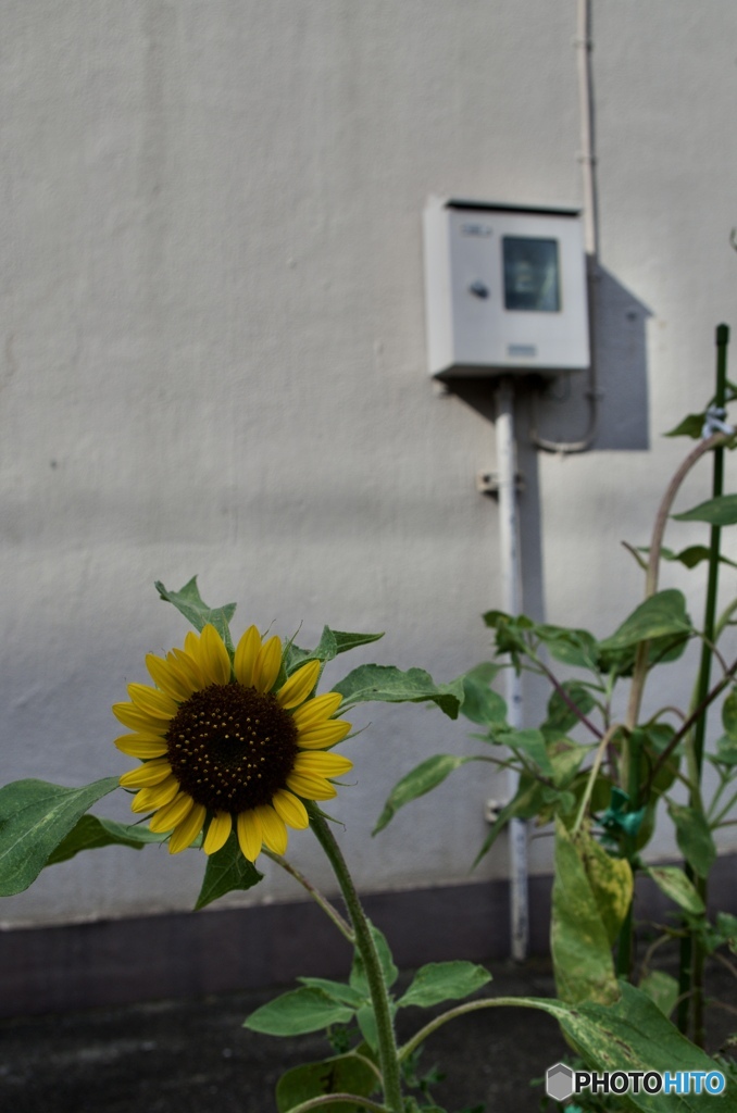 877006D3-08B2-42F4-B070-B367BEE2265F