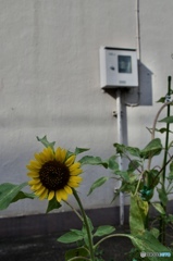 877006D3-08B2-42F4-B070-B367BEE2265F