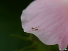 5A140365-DF3C-4946-9041-F04EC0477FE8