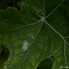 CC1EF2BF-EB96-47F1-A379-60D29B01AB58