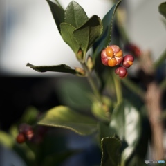 C9479D61-CB67-4C67-97B5-C68B0A173F48