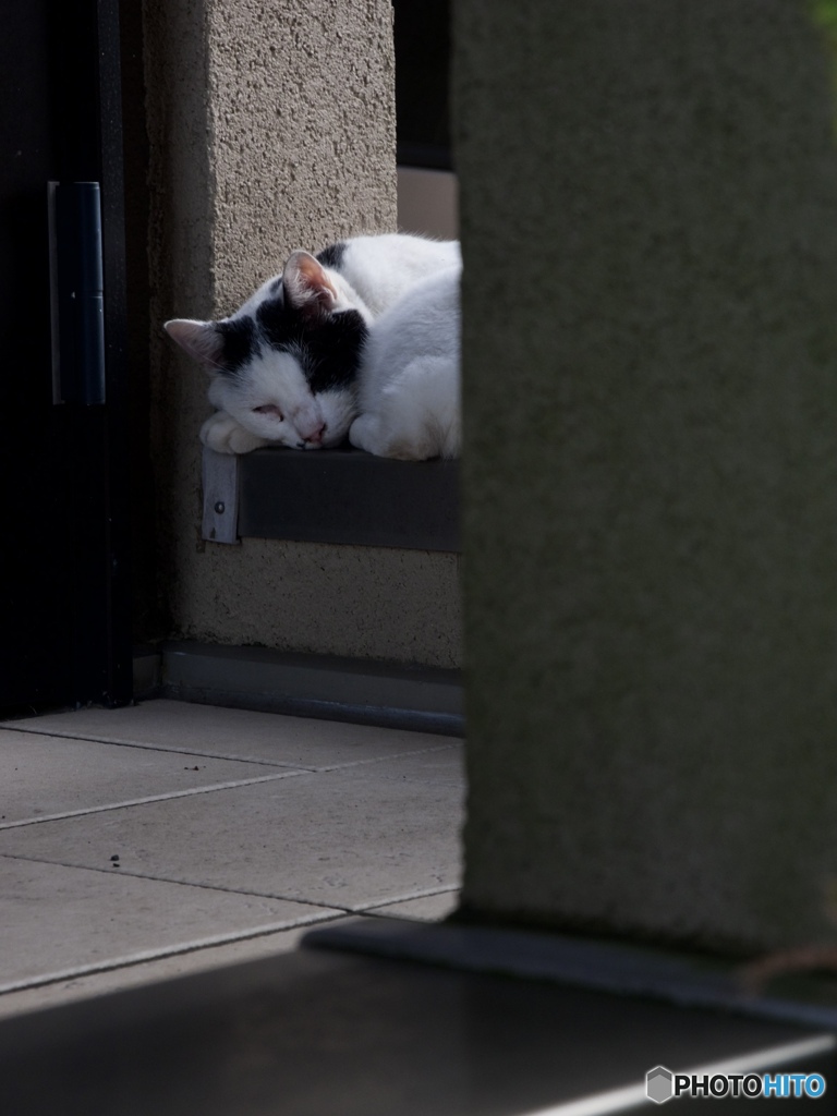 E0BB9A13-AF50-4518-9D73-C75DF31FA058