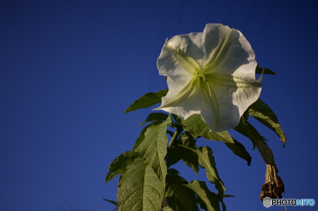 7C90973E-B089-450B-A190-1696FD6D76B1