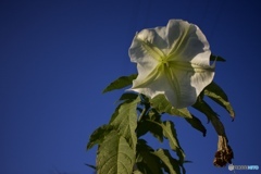 7C90973E-B089-450B-A190-1696FD6D76B1