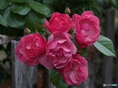 7FE13093-AC6C-4A3D-B6F7-5208D23B5A4B