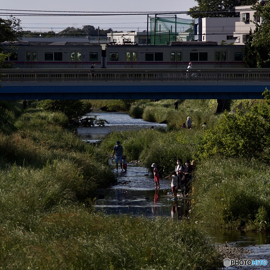 1D99469A-EFDF-421E-90BE-B897EAC29914