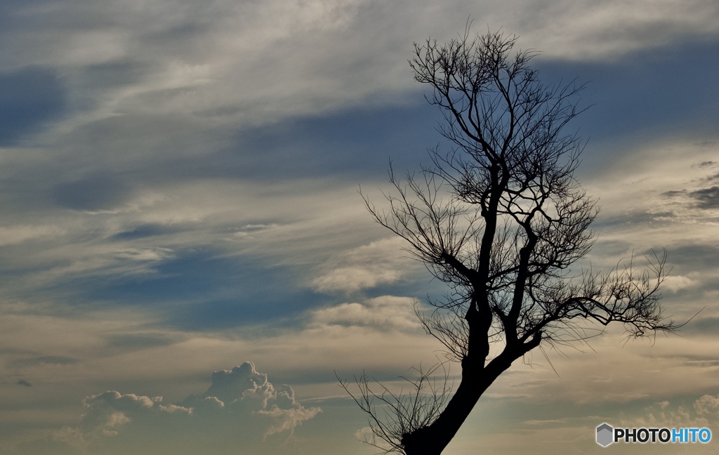 0CE2D555-A81E-4CD0-B173-0CF04193E8A7