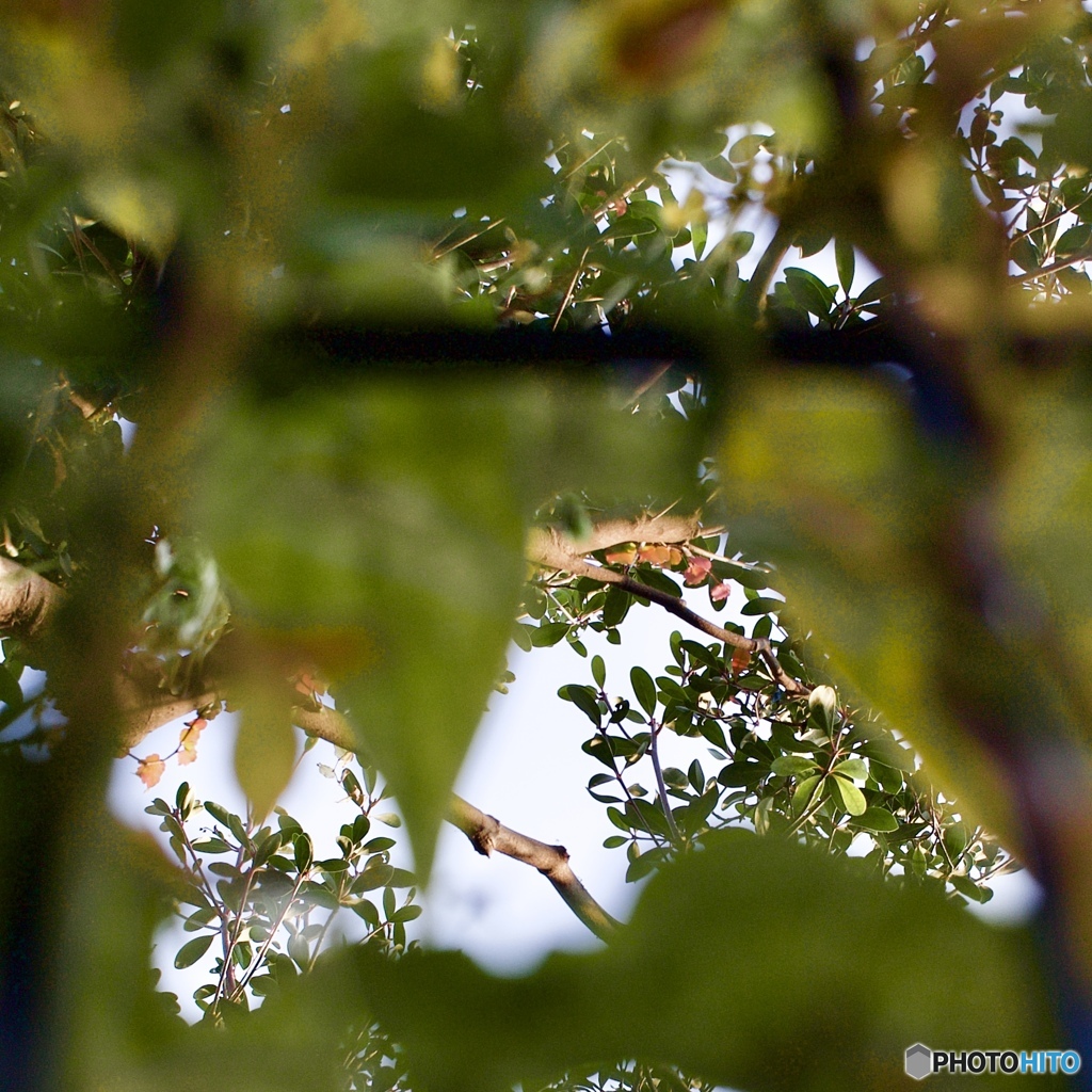 F00C6EC5-98D8-4F5F-9689-B0B2A30316B8