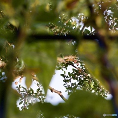 F00C6EC5-98D8-4F5F-9689-B0B2A30316B8