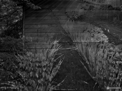 3BE5A3F4-A8B4-4D1A-A1FB-5EA94BE981A8