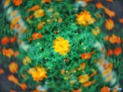 95E68FF3-7F6B-4C95-B5A4-704FB7A79B67
