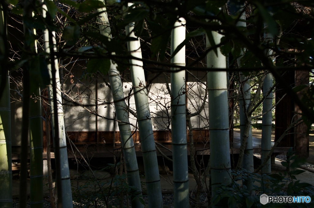 C3893E5F-4AC4-4D6E-84D2-5971FF88C2F1