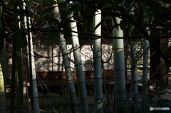 C3893E5F-4AC4-4D6E-84D2-5971FF88C2F1