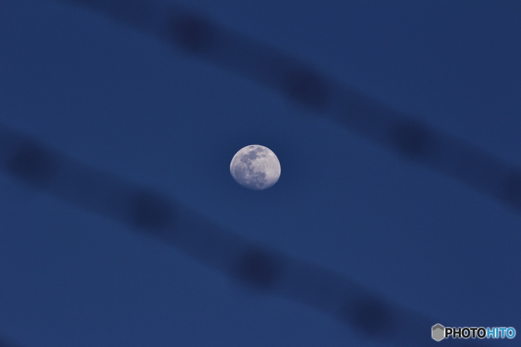 薔薇線越しの月