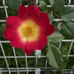 70B88924-8640-444F-9CD6-B8894BB4F241