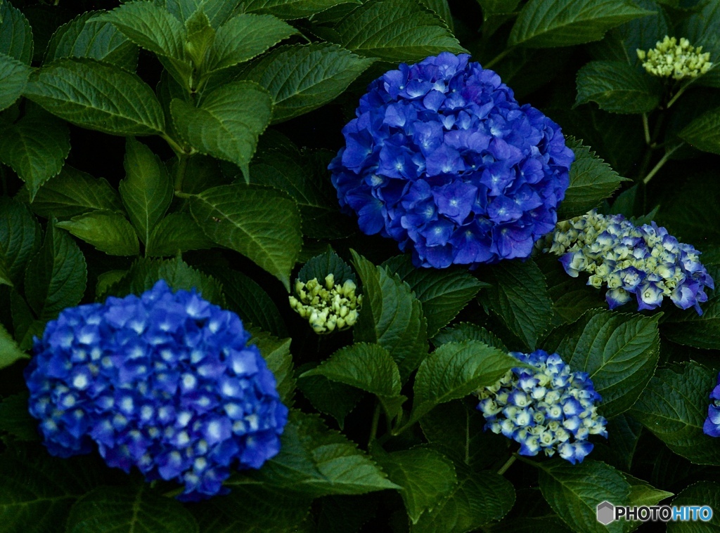 963871BC-78CF-46F7-9D6F-91591831570B