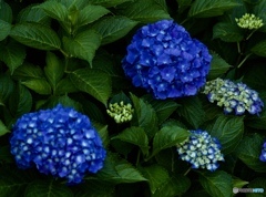 963871BC-78CF-46F7-9D6F-91591831570B