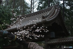 C9505F84-5D1D-4975-A531-799C1C700AB1