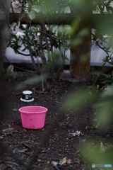 D006C082-1711-4329-8EFE-9EFE97CE9584