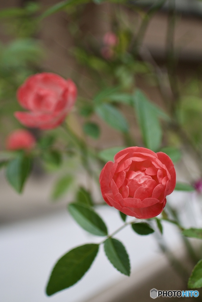 7E53BABF-9AB8-40EE-AF1C-0AD0C4B07143