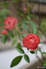 7E53BABF-9AB8-40EE-AF1C-0AD0C4B07143