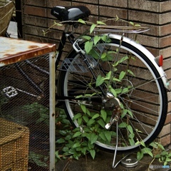 798FD084-554F-428E-9CD3-F10551609756