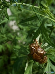 BB1ACC3B-5901-49F4-8A39-EA9448DA226C