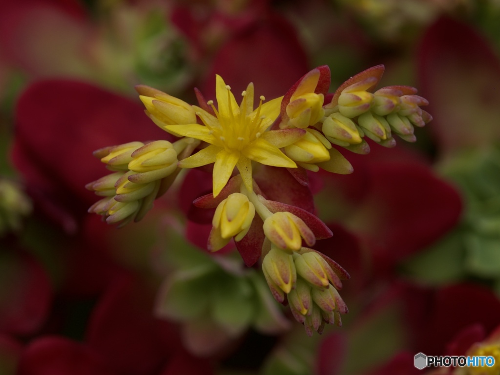 0230D329-40D5-41D2-975C-4E75E84E73E4