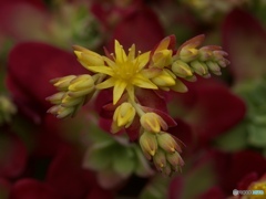 0230D329-40D5-41D2-975C-4E75E84E73E4