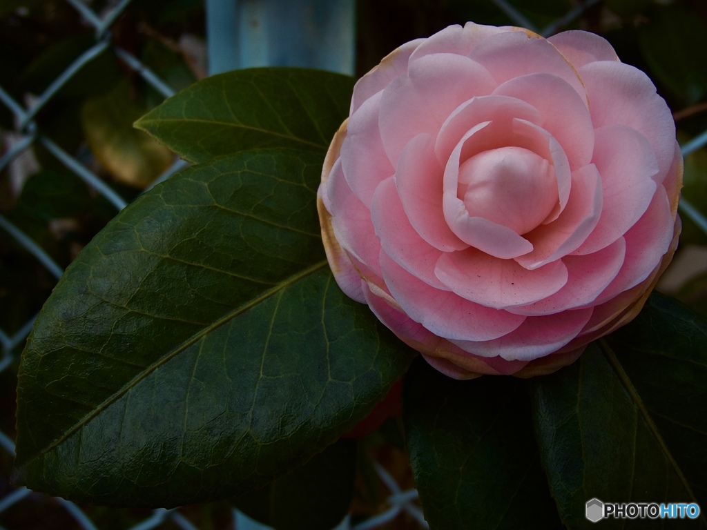 BE6E9D3B-3850-4A67-AB70-33607699CF4F