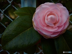 BE6E9D3B-3850-4A67-AB70-33607699CF4F BE6E9D3B-3850-4A67-AB70-33607699CF4F