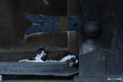 4615C7AD-EED7-4533-A52E-D7B1394F9C7F