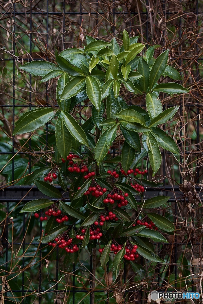 8ACCDABB-FEB7-478C-BCD2-6771243F2B0D