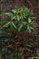 8ACCDABB-FEB7-478C-BCD2-6771243F2B0D