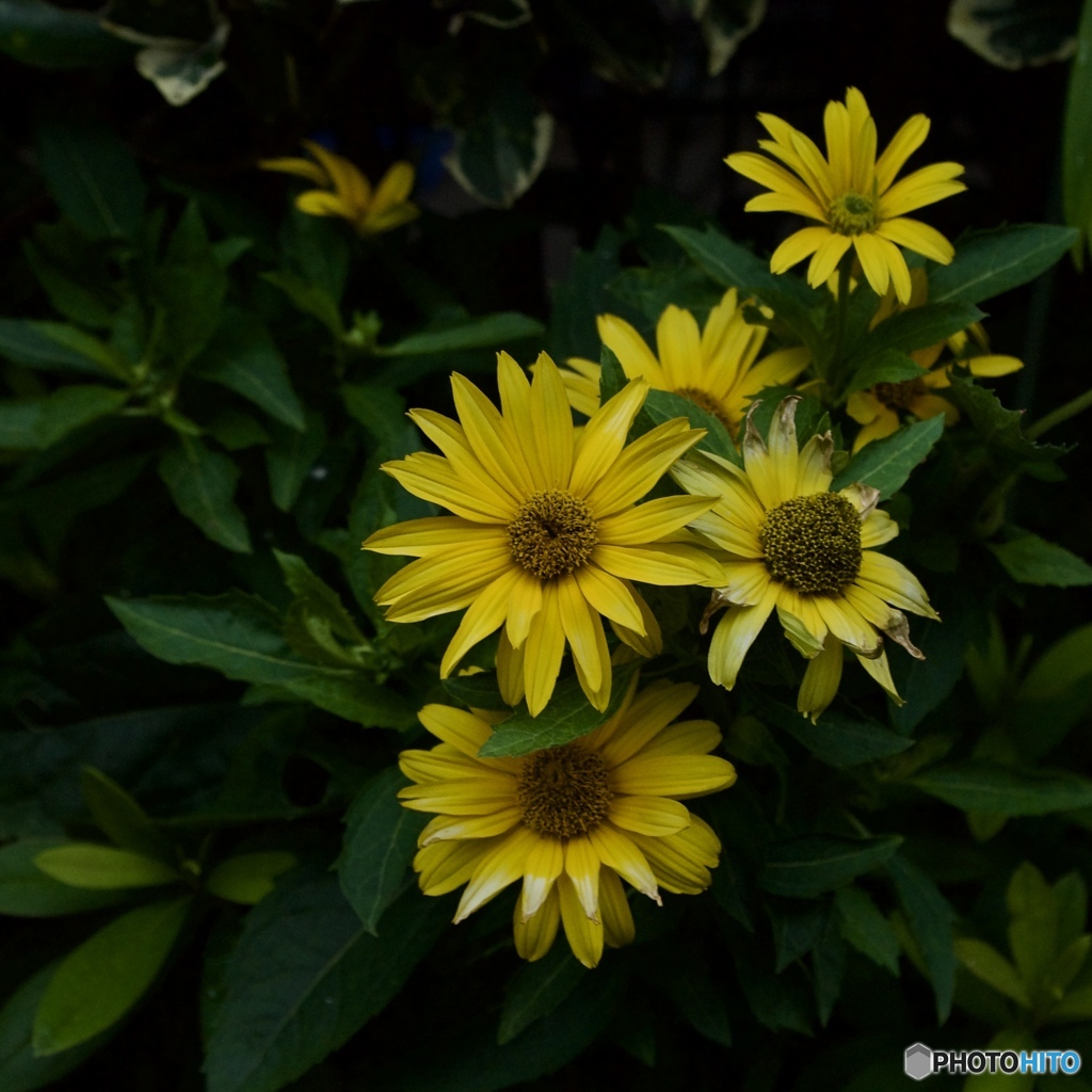 94B398AA-8B19-491E-A217-9D475850DDF7