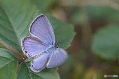 0C4AB91F-9152-4305-B182-BD32C4E55688