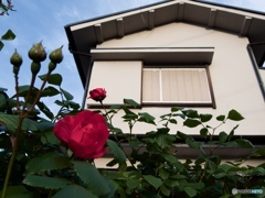 F6987758-FCA4-411B-A3B4-6D7ACC3E3CCE