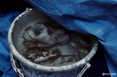 526577A6-4E55-4610-8C79-1615A6934555