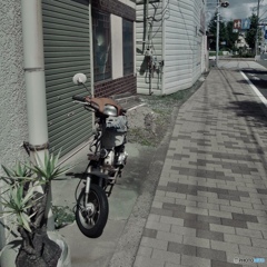 73EFCF2F-0869-4944-9A0A-72576A3D5B4D