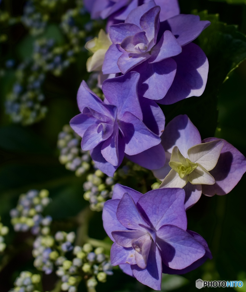 1B5EF854-0A2C-4A72-B729-59FDA52AF067