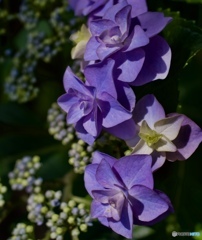 1B5EF854-0A2C-4A72-B729-59FDA52AF067