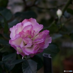 1F280B5D-2662-4377-AF3D-2A45CB729389