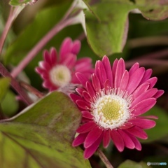 8B794C2C-72D5-4688-A3F3-2AD67ED3E92D